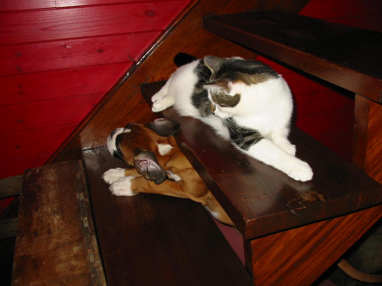 img-3042.jpg