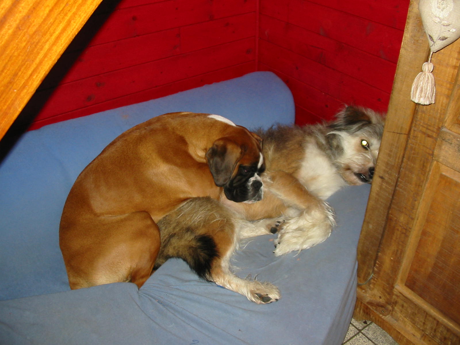 Img 3506